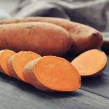 Natural Sweet Potato 